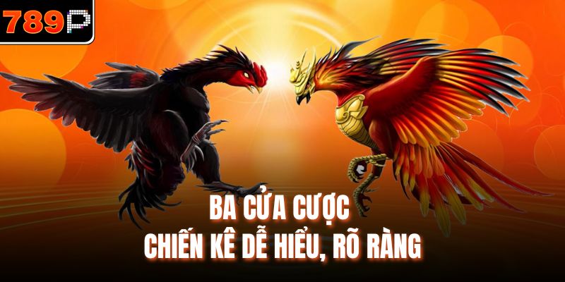 Ba cửa cược chiến kê dễ hiểu, rõ ràng