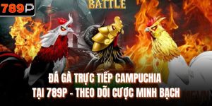 Đá gà trực tiếp Campuchia