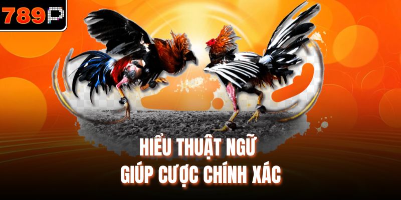 Hiểu thuật ngữ giúp cược chính xác