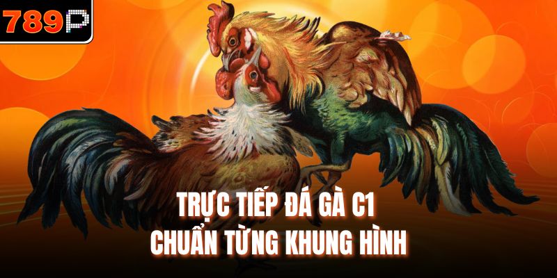 Trực tiếp đá gà C1 chuẩn từng khung hình