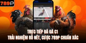 Trực tiếp đá gà C1