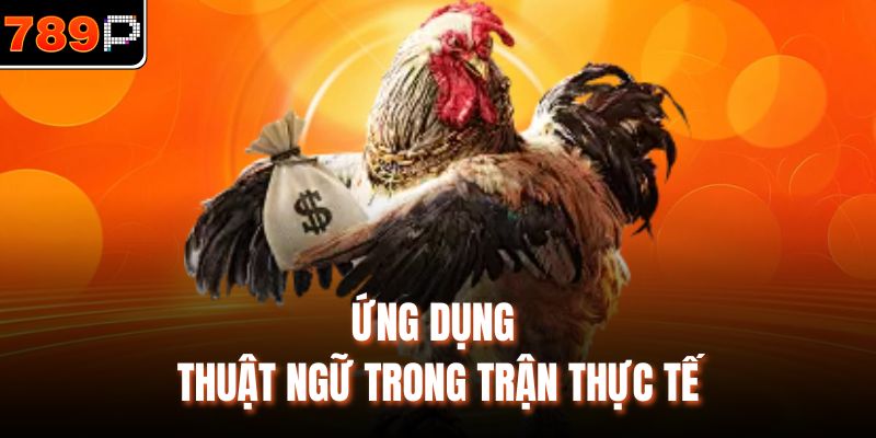 Ứng dụng thuật ngữ trong trận thực tế