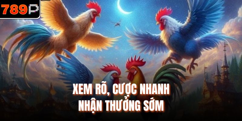 Xem rõ, cược nhanh, nhận thưởng sớm
